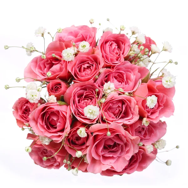 Аромат розовых роз на белом фоне. — стоковое фото
