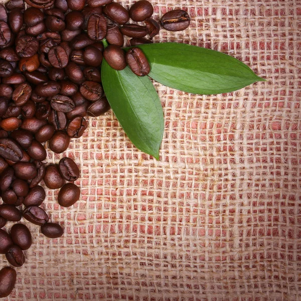 Frijoles de café y hojas en fondo de arpillera . — Foto de Stock