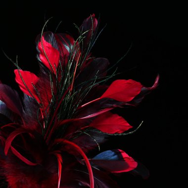 Red feathers over black background clipart