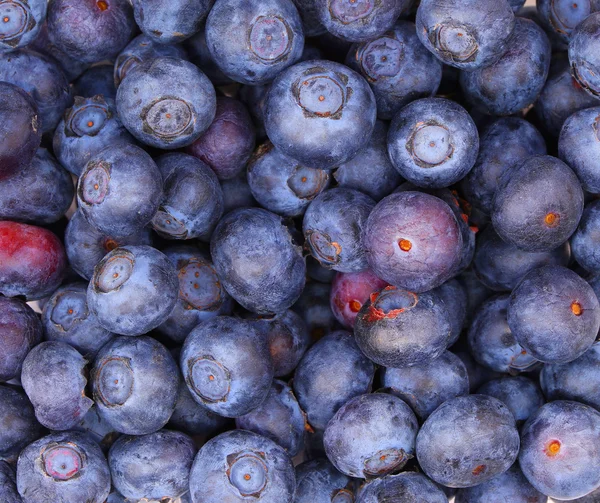 蓝莓的背景。宏 — 图库照片