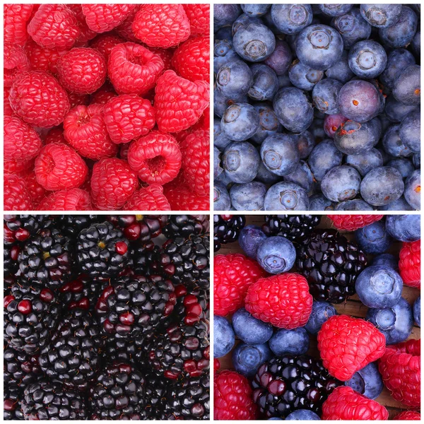 Berries Background Collection. Raspberry, Blueberry — Stock Photo, Image