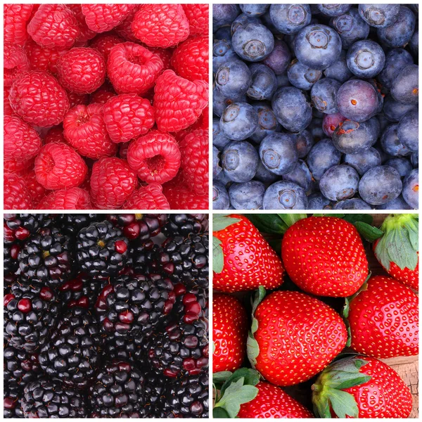 Berries Background Collection. Raspberry, Blueberry, Blackberry — Stock Photo, Image