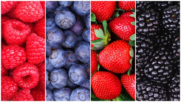 Berries Background Collection. Raspberry, Blueberry, Blackberry — Stock Photo, Image