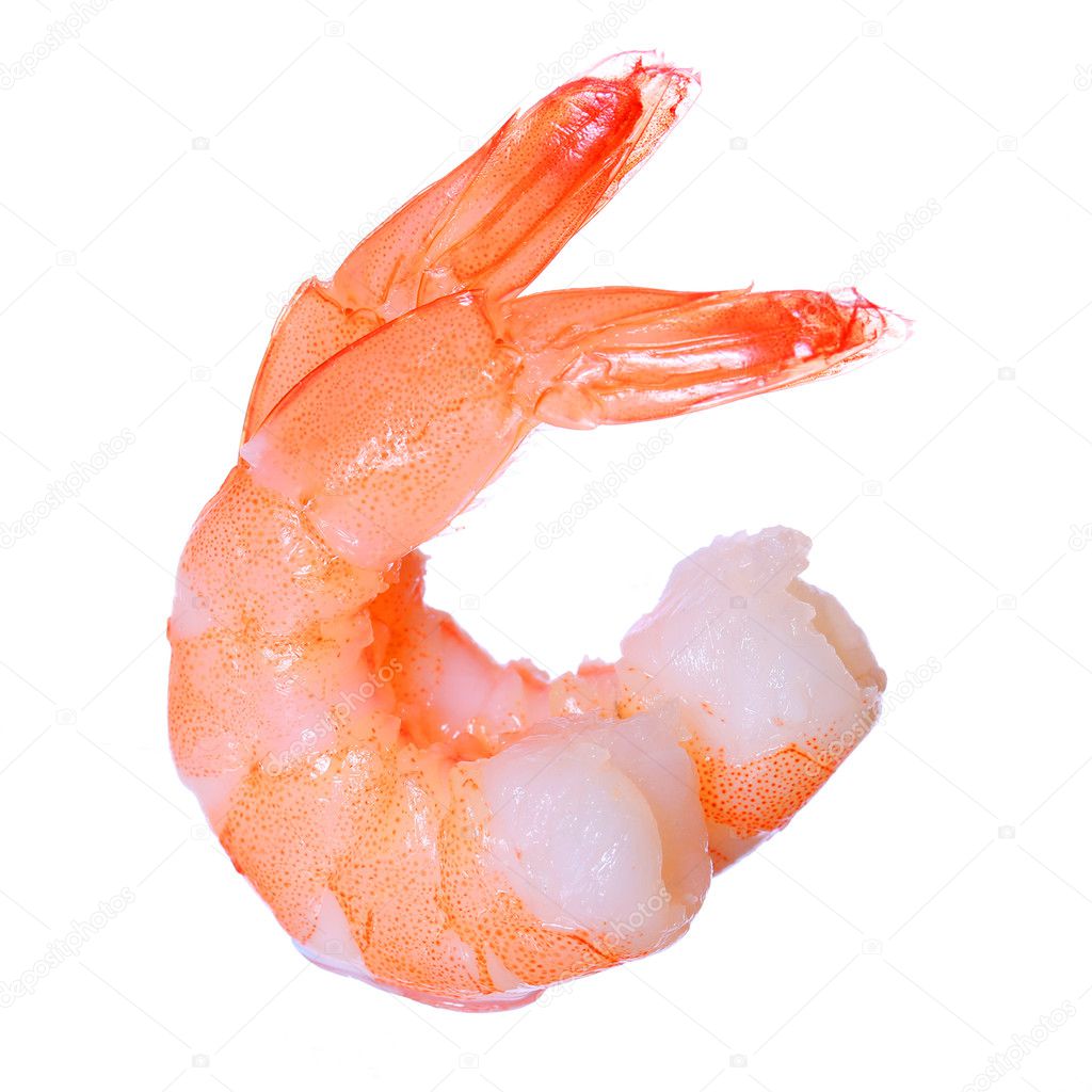 Shrimps isolated on white background. Seafood