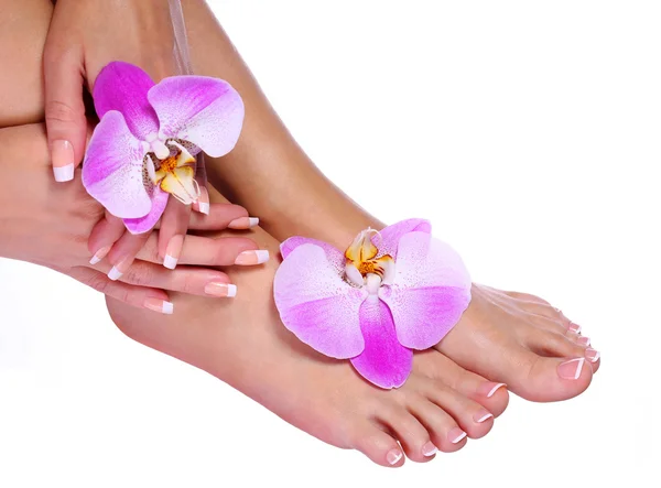 French manicure op mooie vrouwelijke voeten en handen — Stockfoto