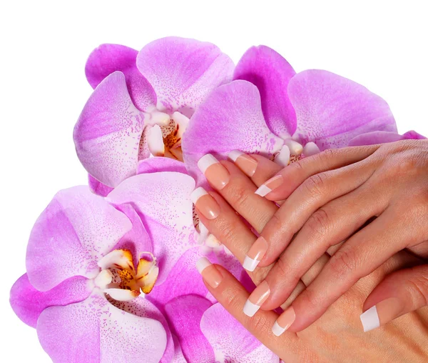 Manicura Francesa. Hermosas manos femeninas con flores de orquídea rosa — Foto de Stock