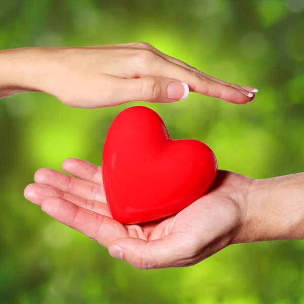 Cuore di San Valentino in Mani Femminili e Maschile, sulla Natura — Foto Stock