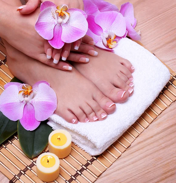 French Manicure on Beautiful Female Feet and Hands — Stock Photo, Image