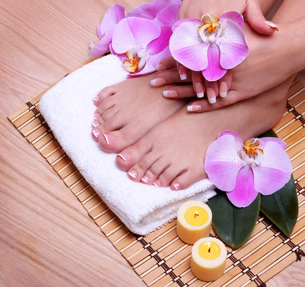 French Manicure on Beautiful Female Feet and Hands — Stock Photo, Image