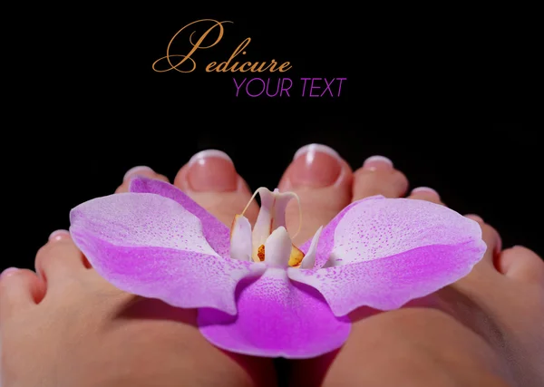 Flor de orquídea en hermosos pies femeninos con manicura francesa — Foto de Stock