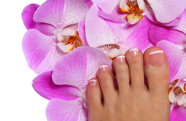 Pedicura con flor de orquídea rosa. Hermoso pie femenino — Foto de Stock