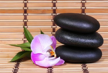 Spa taşlar ve bambu üzerinde yeşil yaprakları ile pembe orkide çiçek
