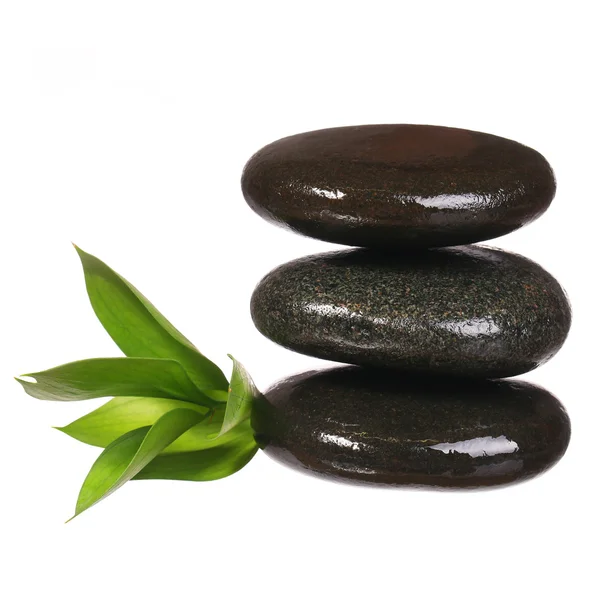 Spa Stones and Green Leaves isolated on white. Zen pebbles. — Stock Photo, Image