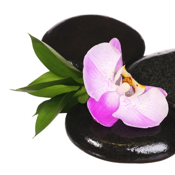 Zen pebbles. Spa Stones and Pink Orchid Flower with Green Leaves — Stock Photo, Image