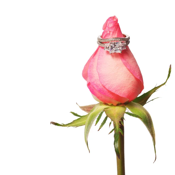 Verlobungs- und Eheringe an Knospe von rosa Rose isoliert — Stockfoto