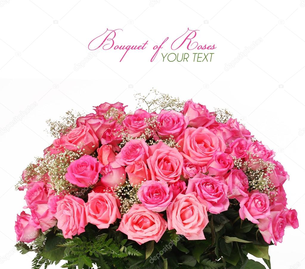 Pink Roses. Huge Bouquet isolated on white background with space