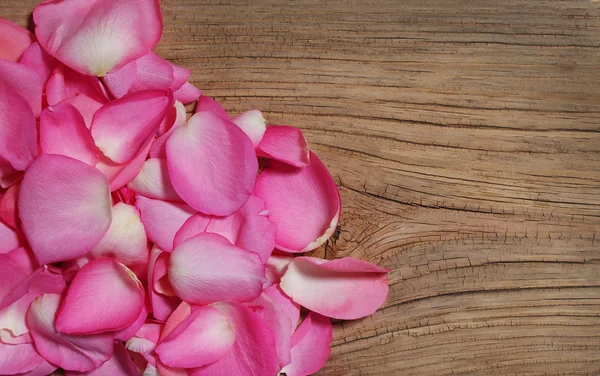 Pétalos rosas sobre fondo de madera — Foto de Stock