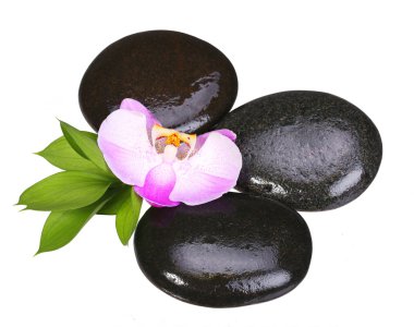 Zen pebbles. Spa Stones and Orchid Flower with Green Leaves clipart