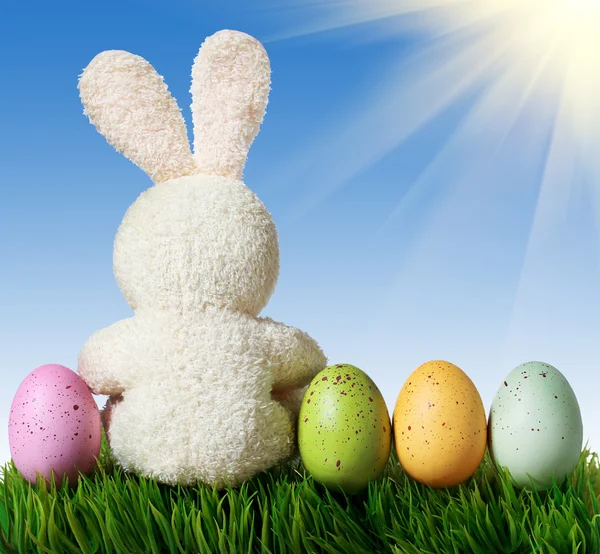 Huevos coloridos de Pascua y conejo sobre hierba verde con cielo azul — Foto de Stock