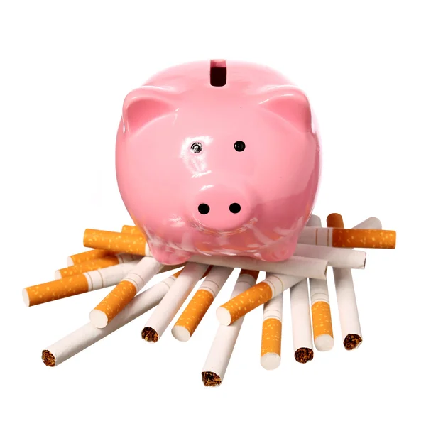 Piggy Bank en la pila de cigarrillos aislados en blanco . —  Fotos de Stock