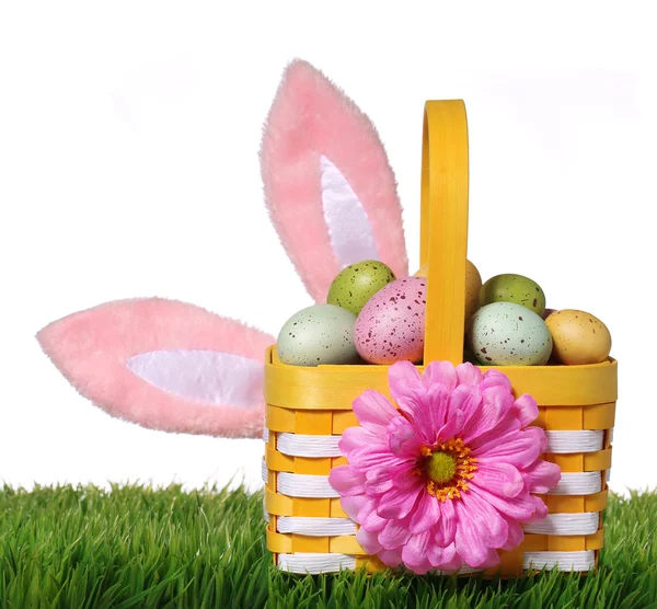 Пасхальная корзина с разноцветными яйцами и кроличьими ушами на зеленой траве — стоковое фото