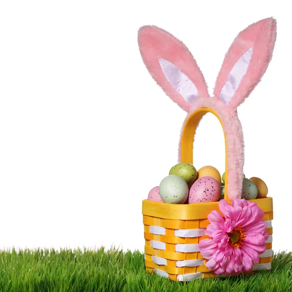 Cesta de Pascua con huevos coloridos y orejas de conejo en hierba verde —  Fotos de Stock