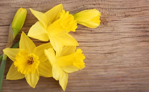 Spring yellow flowers. Narcissus on wooden background — Stock Photo, Image