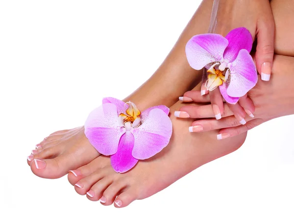 French Manicure on Beautiful Female Feet and Hands — Stock Photo, Image