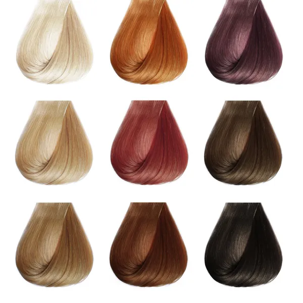 Hair Palette. Colors Set. Tints — Stock Photo, Image