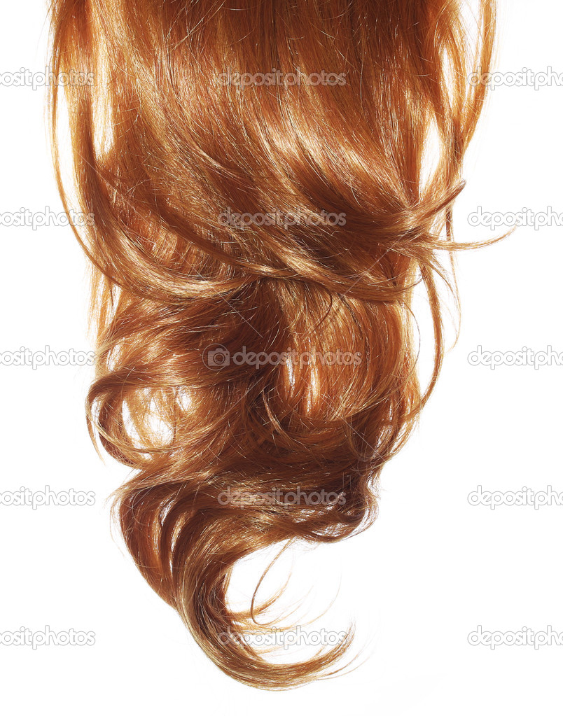 Curly Brown Hair isolated on white background