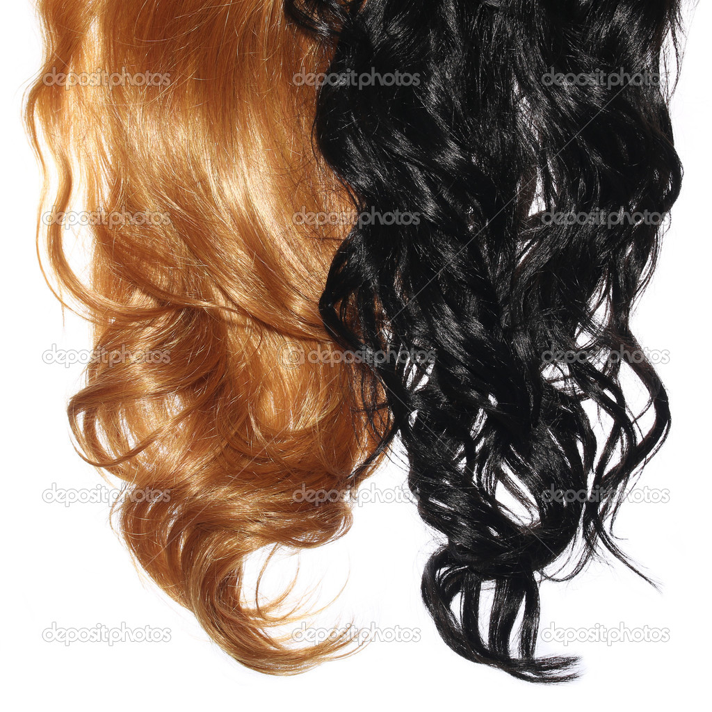Curly Black and Brown Hair isolated in white