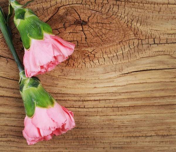 Pink carnations flowers on old wooden background — Stock Photo, Image