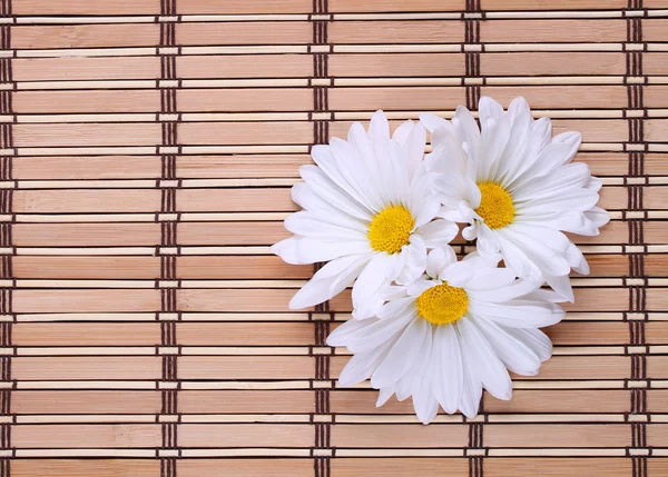 竹マットにカモミールの花。デイジー — ストック写真