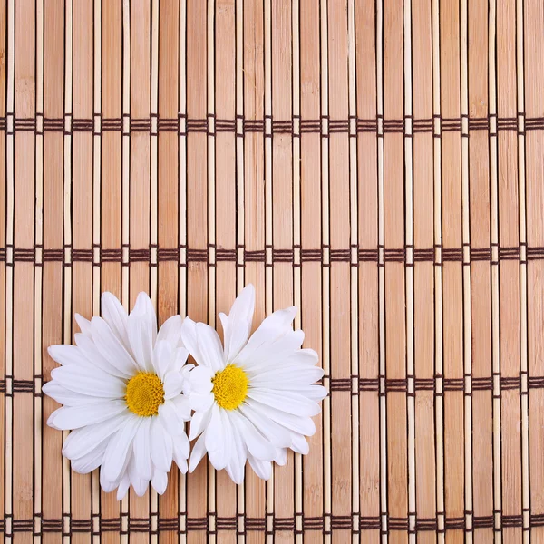 Chamomile flowers on bamboo mat. Daisy — Stock Photo, Image