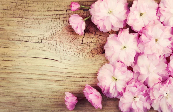 Flor de cerezo sobre fondo de madera vieja. Sakura en primavera. Rosa — Foto de Stock
