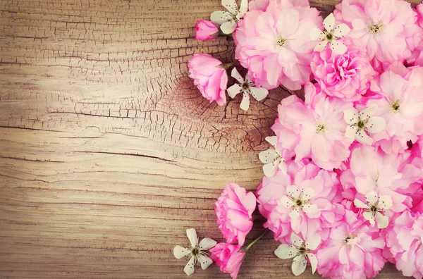 Fiore di primavera su sfondo in legno vecchio. Sakura e ciliegia di uccello — Foto Stock