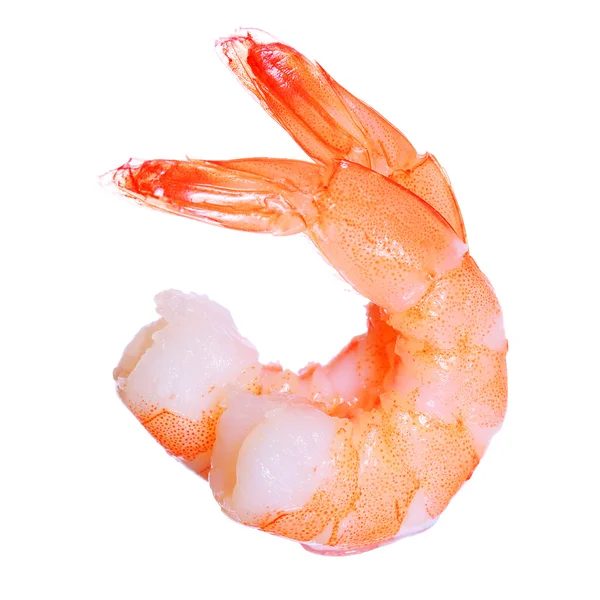 Shrimps isolated. Seafood — Stock Photo, Image