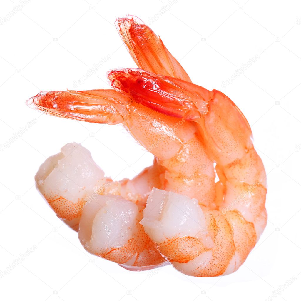 Shrimps isolated. Seafood
