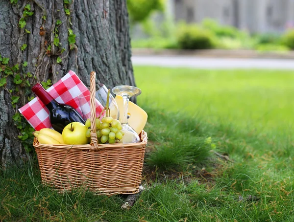 Picnic basket with food on green grass — Stock Photo, Image