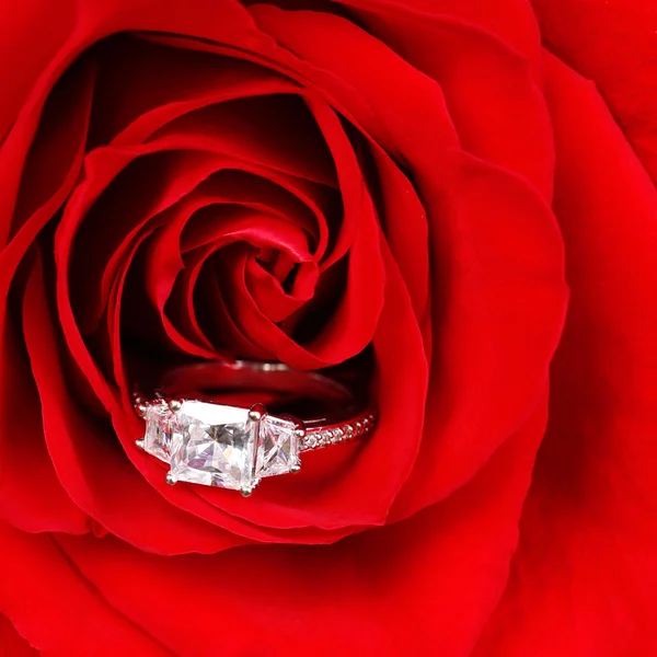 Engagement Ring in Red Rose. Macro — Stock Photo, Image