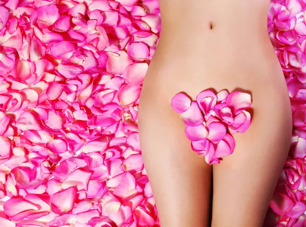 Blütenblätter rosa Rosen auf dem Körper der Frau. Konzept des Wachsens. Bikini — Stockfoto