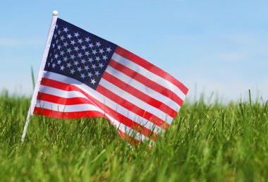 Yeşil çimenlerin üzerinde Amerikan bayrağı 