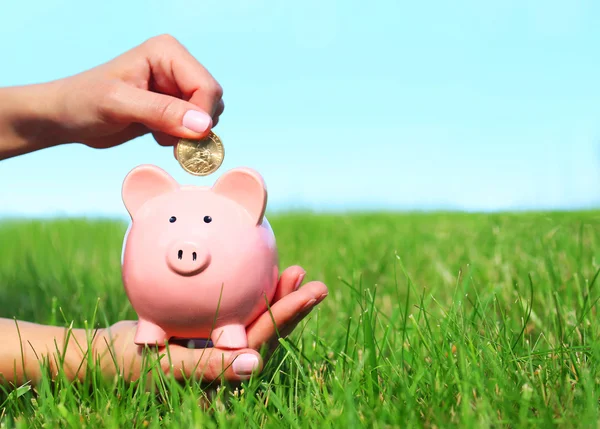 Piggy Bank e moeda em mãos femininas sobre grama verde — Fotografia de Stock