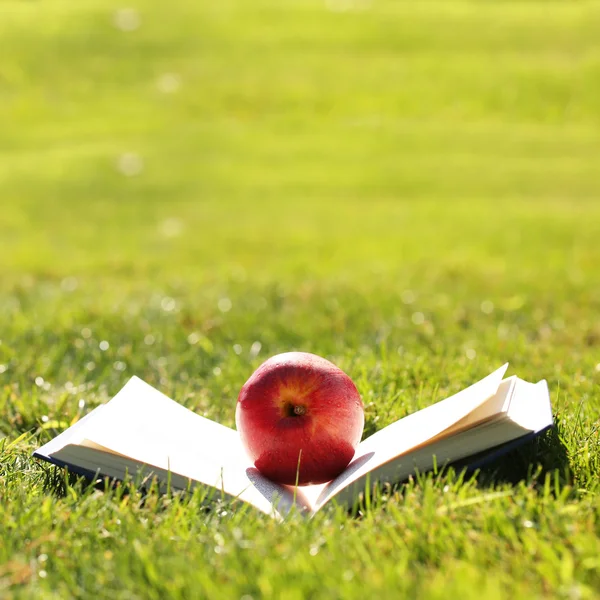 De vuelta a la escuela. Libro abierto y manzana sobre hierba verde . — Foto de Stock