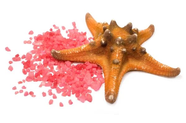 Starfish e sal marinho — Fotografia de Stock