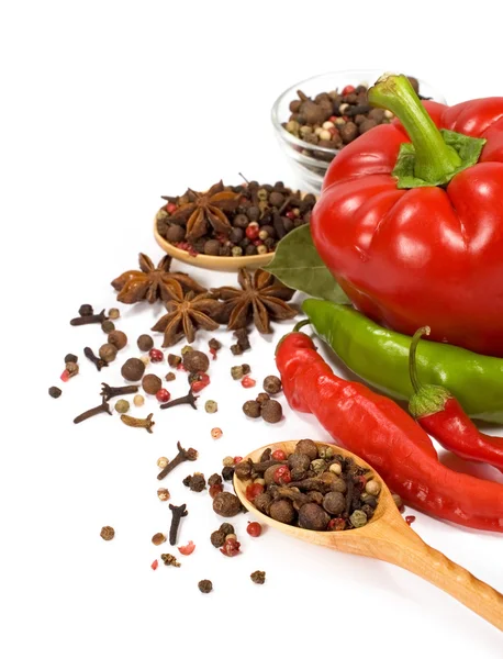 Chili and spices — Stock Photo, Image