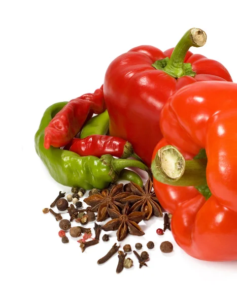 Peppar och kryddor — Stockfoto