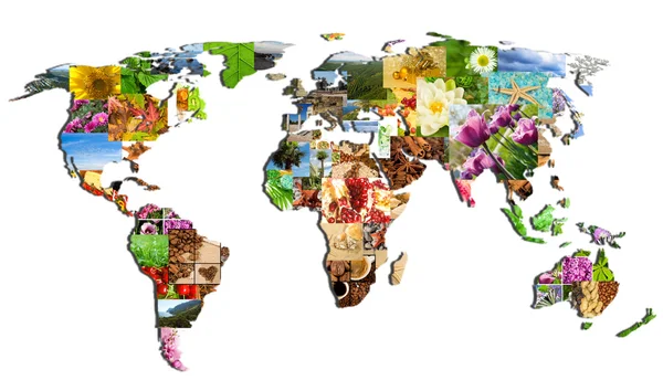 Map of the world of the many photographs — Stock Photo, Image