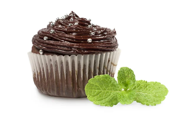 Κέικ σοκολάτας με φύλλα δυόσμου — Φωτογραφία Αρχείου