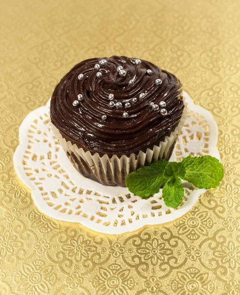 Pastel de chocolate con hojas de menta — Foto de Stock